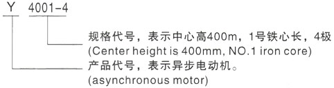 西安泰富西玛Y系列(H355-1000)高压汉寿三相异步电机型号说明